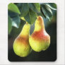 Pears Mousepads