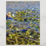 Pebbles in flowing water custom flyer