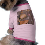 Pebbles On The Beach With A Tiny Crab Dog Clothing