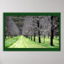 Pecan Orchard in Autumn/Fall Print