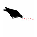 pecking order. blackbird & red hearts. t-shirts