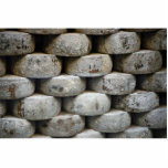 Pecorino cheese wheels, Italy photo sculptures