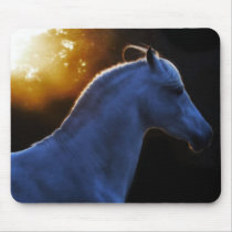 Pecos In Evening Light Mousepad