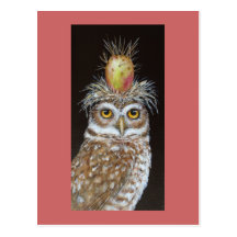 pedro the burrowing owl postcard