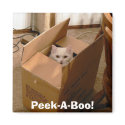 Peek-A-Boo! 2 magnets