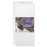 Peek a boo Calico Kitty Cat rack cards