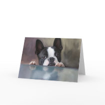 Peek A Boo Greeting Cards