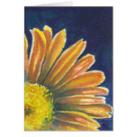 Peek-a-boo daisy Card