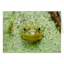Peek-a-boo frog greeting cards