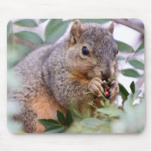 Peek A Boo... I See You! Mouse Pad