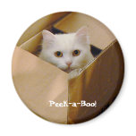 Peek-a-Boo! Refrigerator Magnets