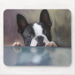 Peek A Boo Mouse Mat