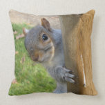 Peek-a-boo! Pillows