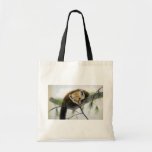 Peek-a-boo, Pine Marten Canvas Bags