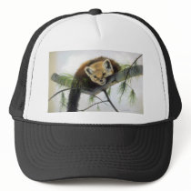 Marten Hat