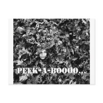 Peek-a-boo Postcard