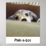 Peek-a-boo posters
