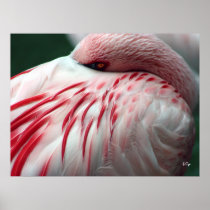 Peek a Boo, S Cyr Poster