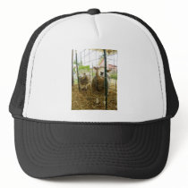 Peek a Boo Sheep Hat