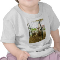 Peek a Boo Sheep T-shirt