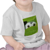 Peek-A-Boo Shirts
