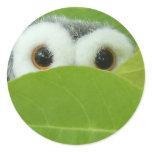 Peek-A-Boo stickers