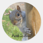 Peek-a-Boo! Stickers