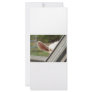Peek a boo white goat! Cute goat waiting picture Full Color Rack Card