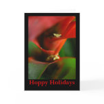 Peekaboo cards