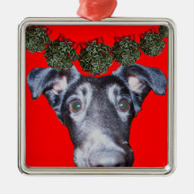 Peeking Daphne Christmas Ornament