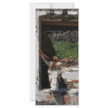 Peeking donkey rack cards