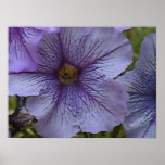 peeking large posters