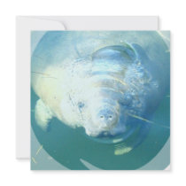 Peeking Manatee  Invitations