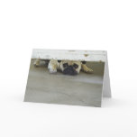 Peeking Pug Greeting Card - Blank Inside
