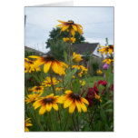 Peeking Through the Flowers cards