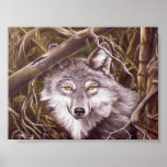 Peeking Wolf posters