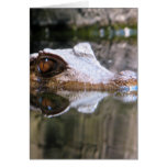 Peering Cards