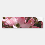 Peering into Pinkness Bumper Stickers