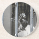 Peering Out Coaster