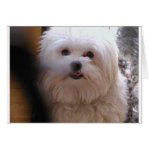 PEEWEE CARD
