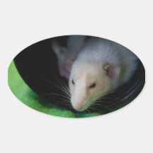 PEEWEE OVAL STICKER