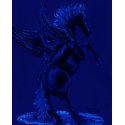 pegasus t-shirts