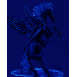 pegasus t-shirts
