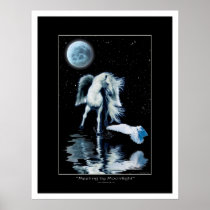 PEGASUS & WHITE RAVEN Fantasy Poster