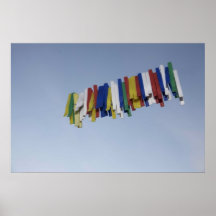 PEGGED POSTER
