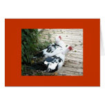 Peking Duck Card