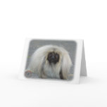 Pekingese 9R072D-026 cards