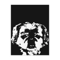 Pekingese Gifts - Postcard