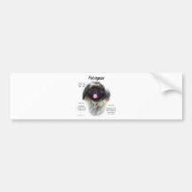 Pekingese History Design Bumper Stickers