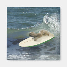 Pekingese Magnet
